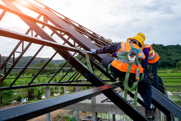 Best Sealant for Roof  in Flushing, MI