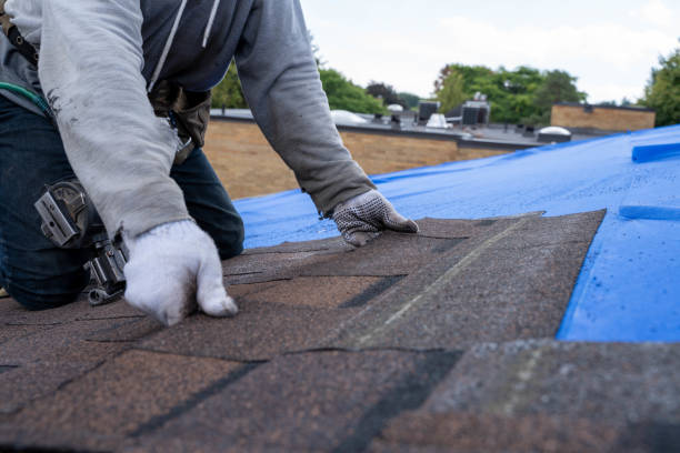 Quick and Trustworthy Emergency Roof Repair Services in Flushing, MI