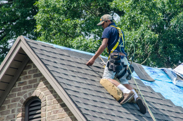 Best Roof Leak Repair  in Flushing, MI